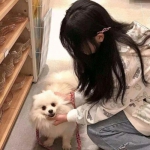天域仙侠传手游